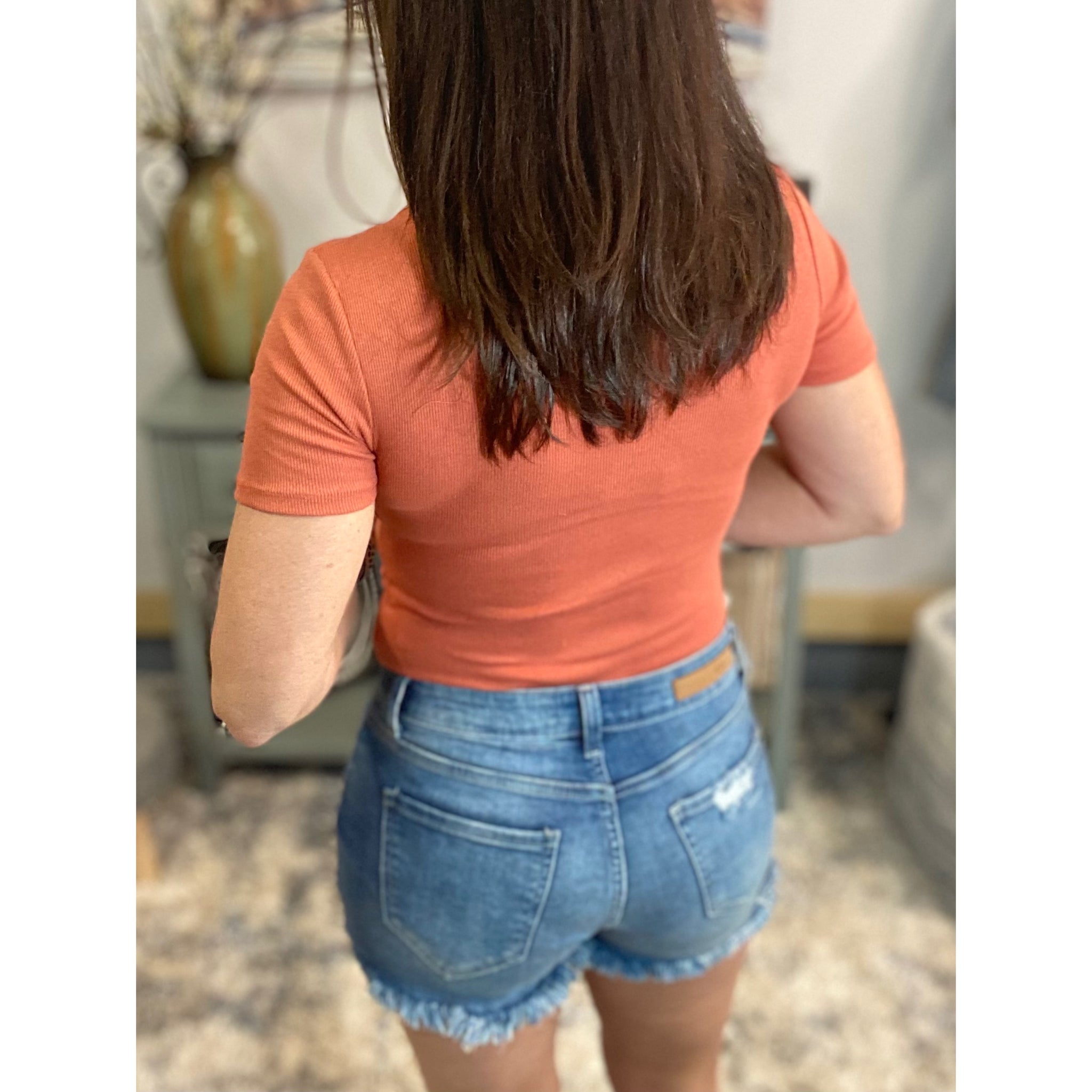 “What's Your Name” Ribbed Bodysuit Deep V Neck Slimming Short Sleeve Terracotta Rust